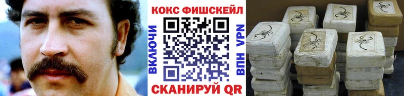 Купить закладки  Злынка  Кокаин FishScale 