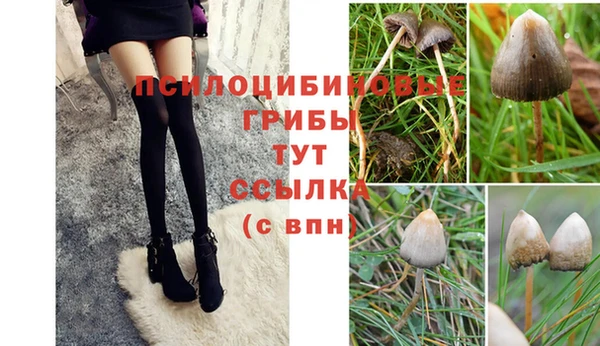 синтетический гашиш Михайловск