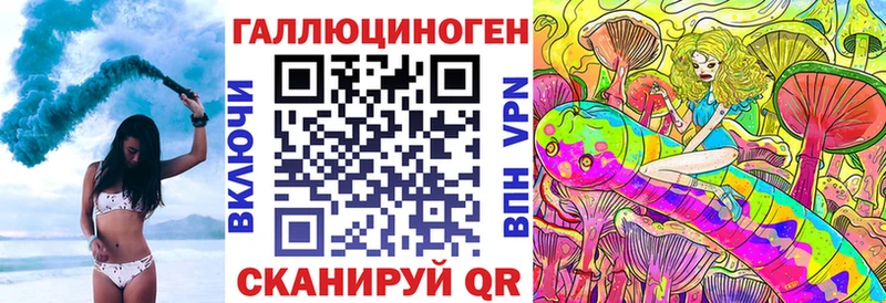 Купить Злынка Псилоцибиновые грибы Psilocybine cubensis